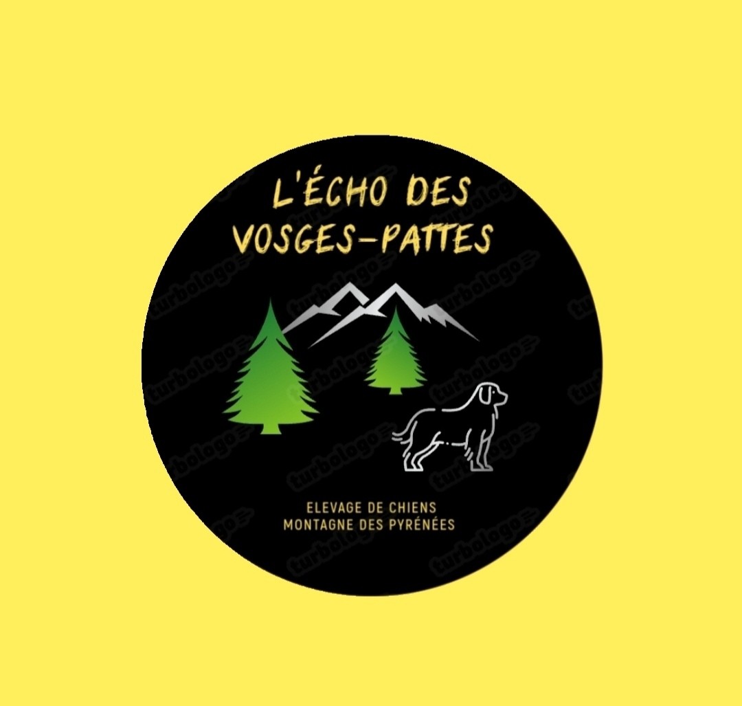 De L’Echo Des Vosges Pattes